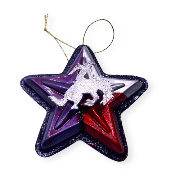 Texas TX Theme Ornaments Lot Cowboy Hat Star Rodeo Flag Cross Map - Picture 4 of 9